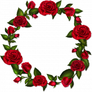 Imagen de alta calidad de PNG floral redondo