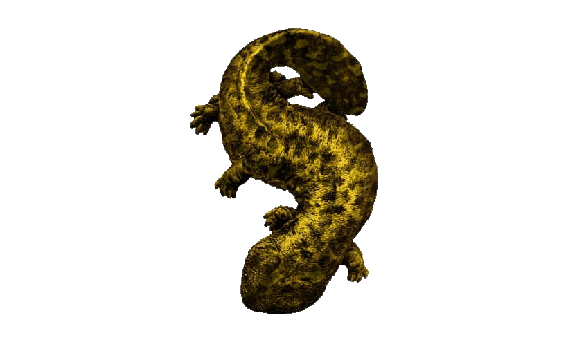 Imagen de salamander png