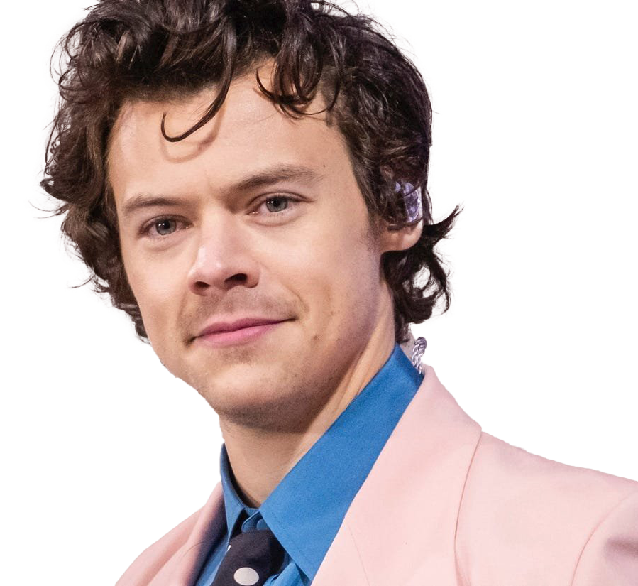 Imagen del cantante Harry Styles PNG