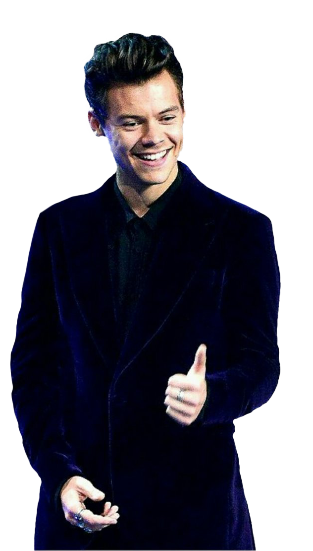 Cantante Harry Styles PNG Imágenes