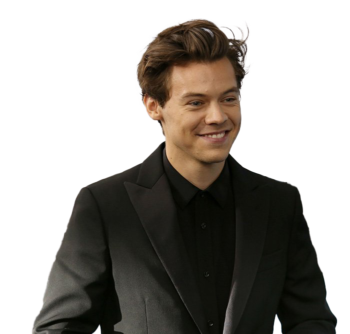 Cantante Harry Styles Png Photo