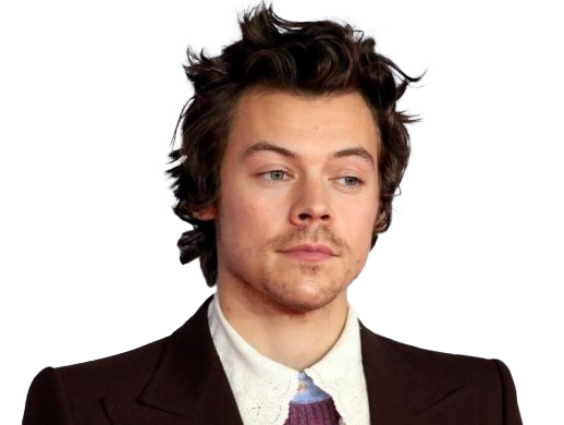 Cantante Harry Styles Png Pic