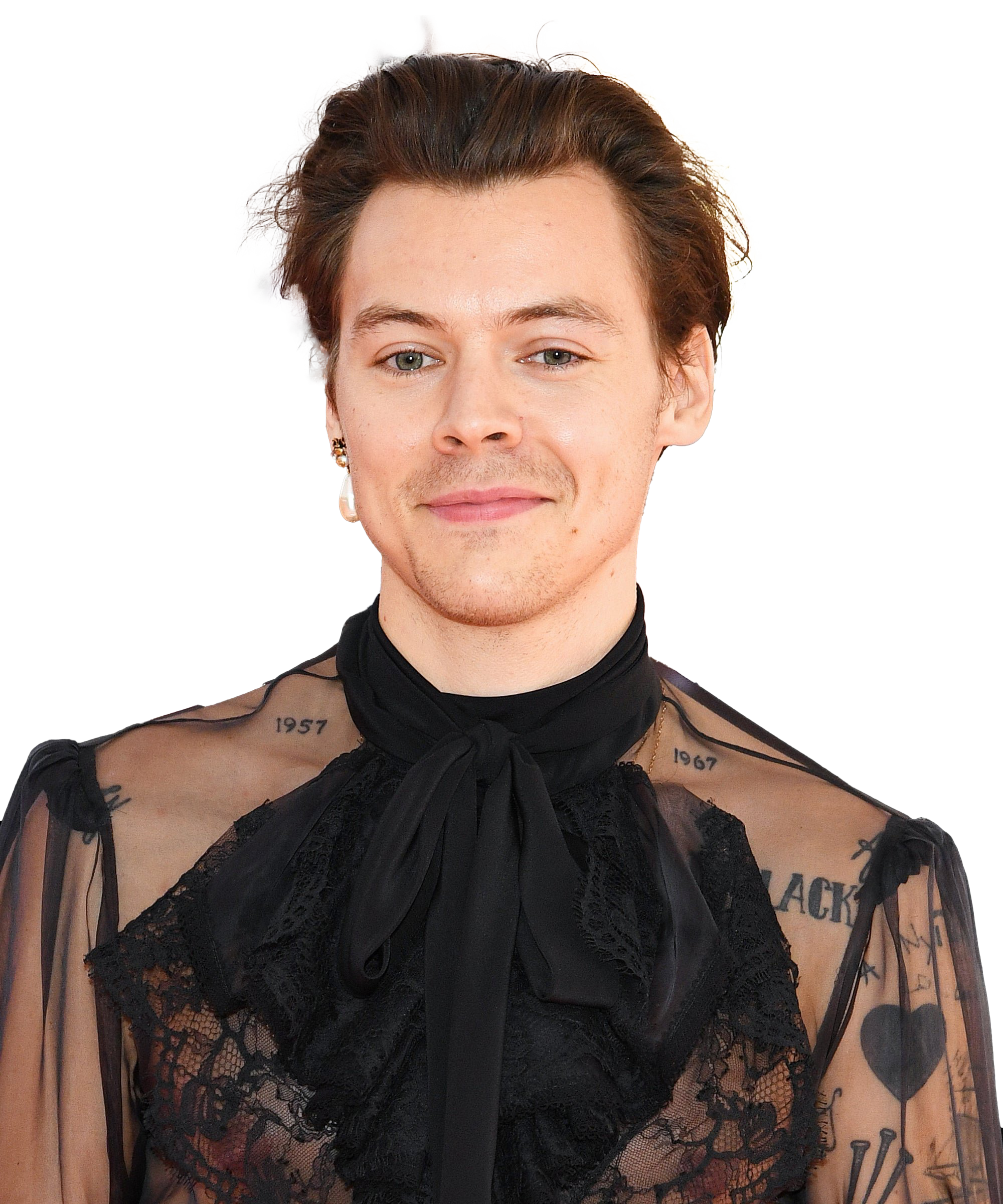 Cantante Harry Styles Png Picture
