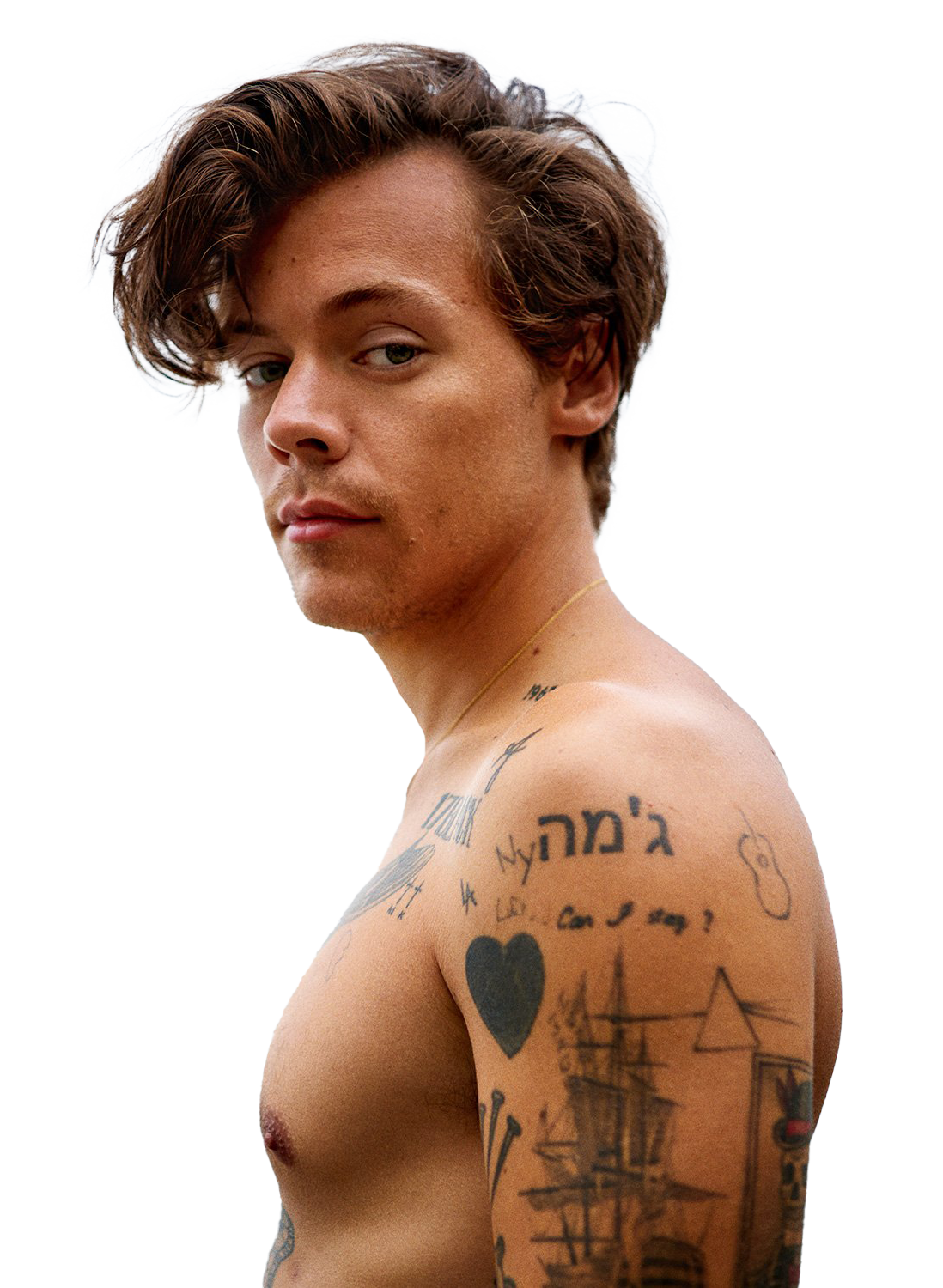 Cantante Harry Styles PNG