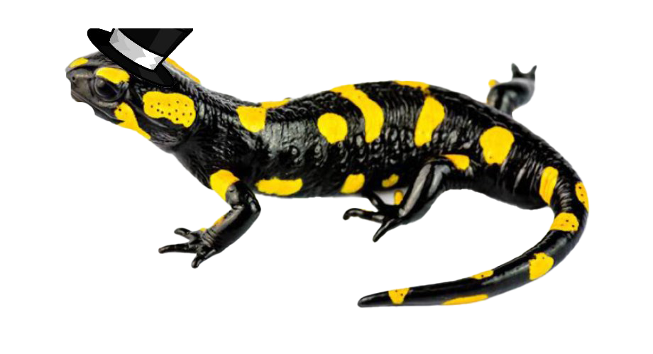 Imagen png manchada de salamandra