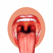 Tongue PNG Photo