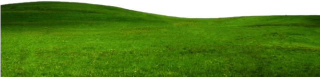 Grass Ground Png File Png All Png All