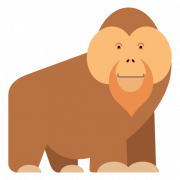 Orangutan PNG -Datei