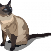 Siamese Cat PNG Download Bild