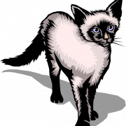 Siamese Cat PNG -Datei