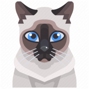 Siamese Cat PNG kostenloser Download