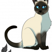 Siamese Cat Png HD ภาพ