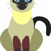 Siamese Cat PNG hochwertiges Bild