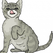 Siamese Cat PNG Bilddatei