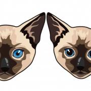 Siamese Cat Png Image HD