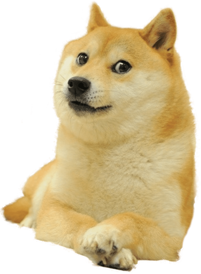 Picture PNG DOGE - PNG All