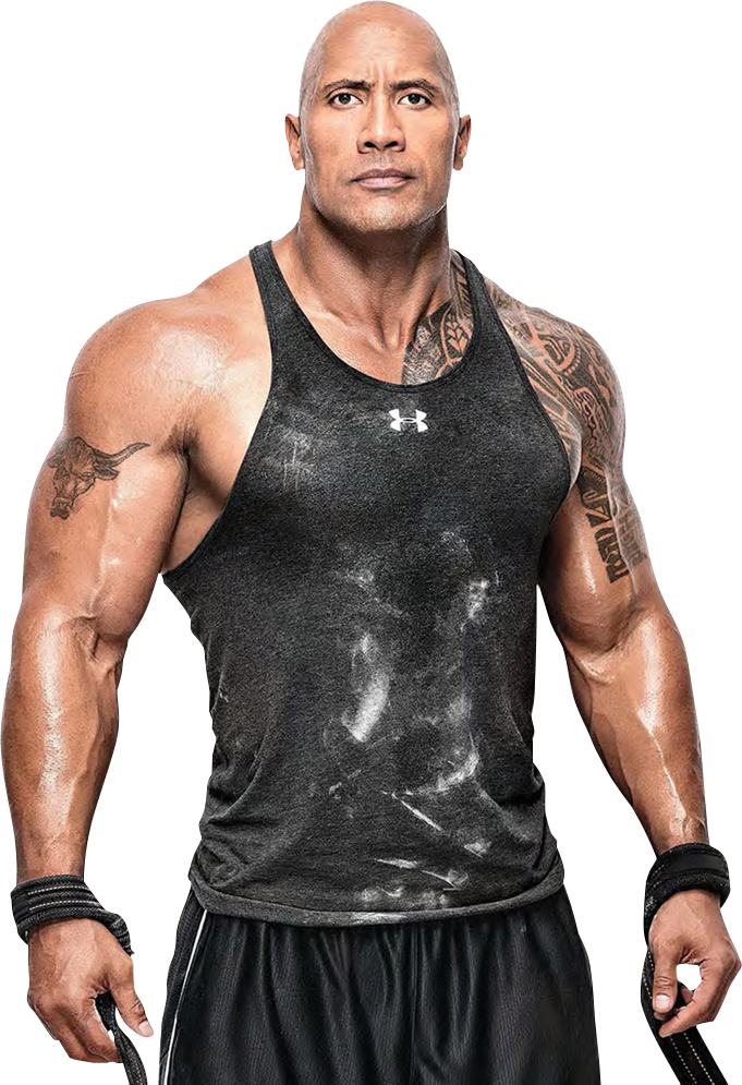 The Rock Wrestler PNG Clipart | PNG All