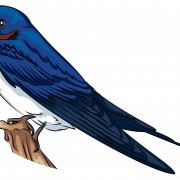 Vector Swallow PNG Download grátis