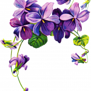 Clipart png de flor violeta vetorial