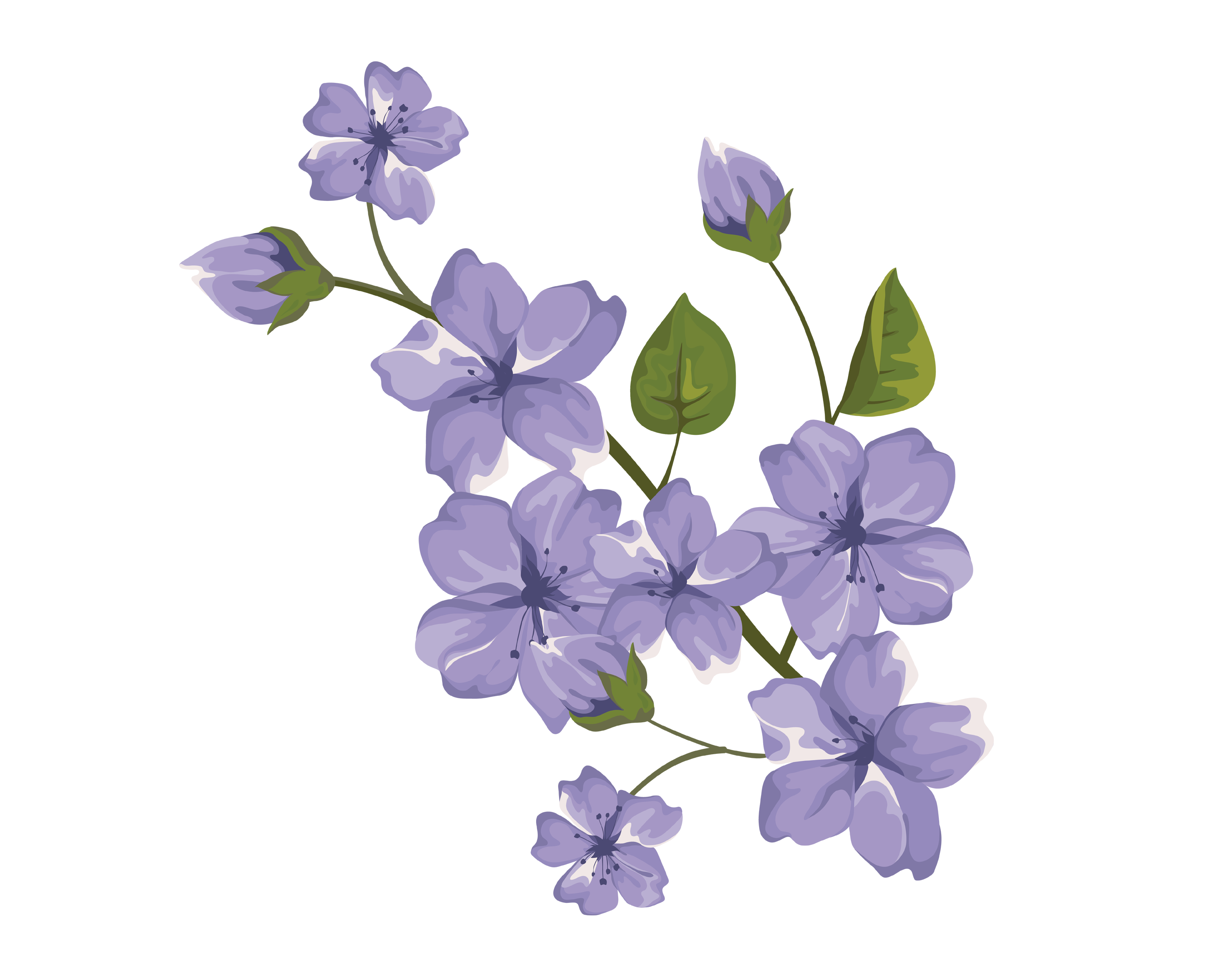 Descarga gratuita de Vector PNG de flores violetas - PNG All