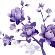 Vetor Violet Flower PNG Imagem grátis