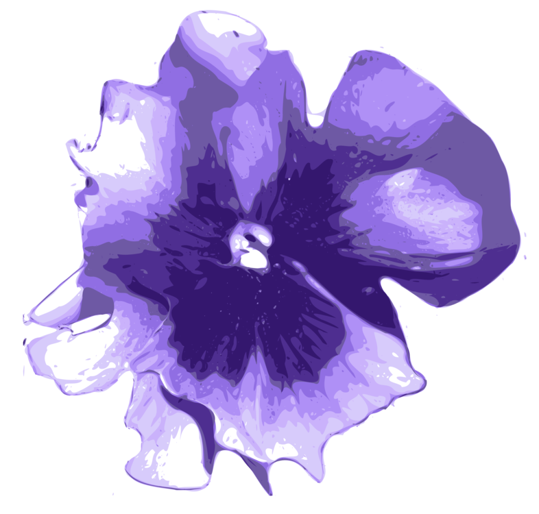 Violet Flower PNG Download Imagem
