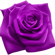Download grátis de Violet Flower png