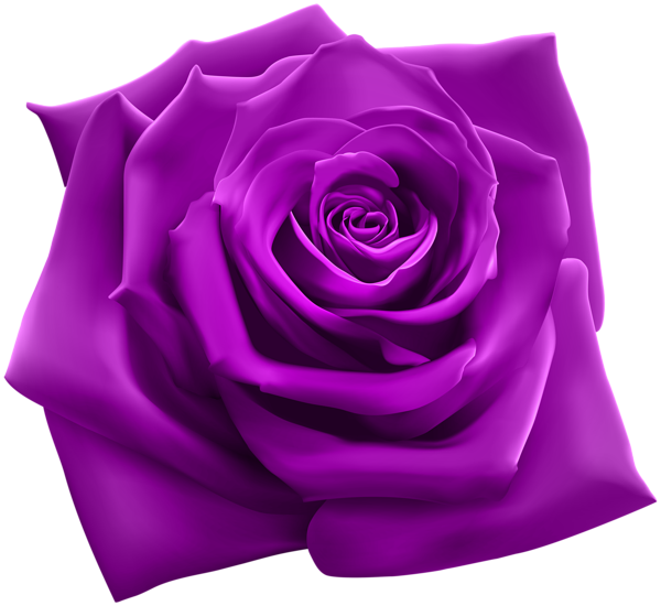 Download grátis de Violet Flower png