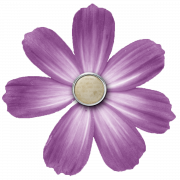 Foto HD transparente de Flor Violet Flower png