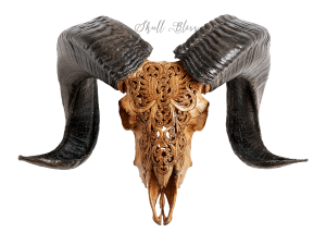 Animal Horns PNG Image HD