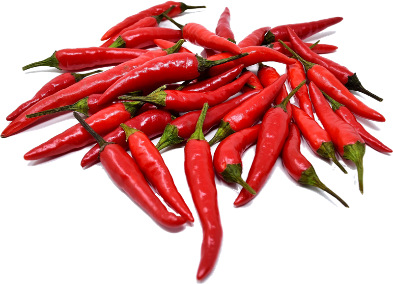 Red Chili Pepper PNG Transparent Images Free Download, Vector Files