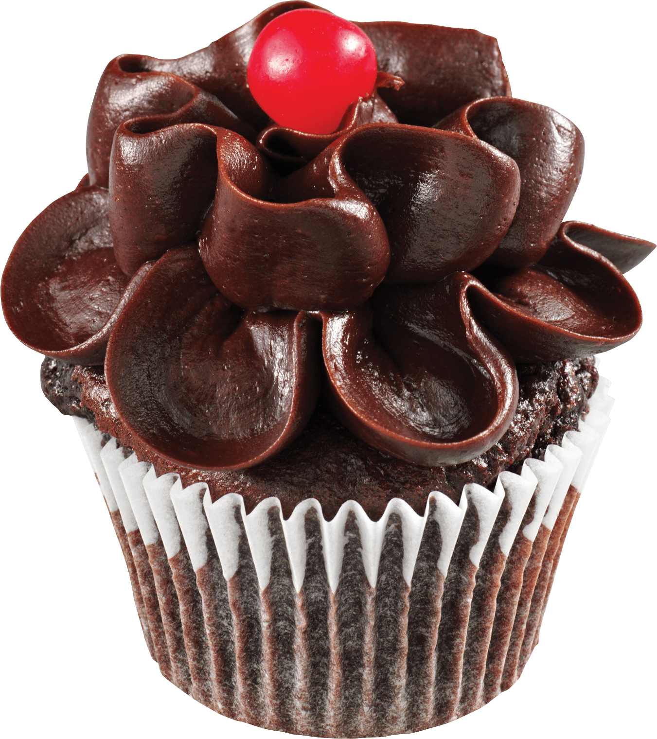 Doodled Cupcake Cake On A Transparent Background Stock Illustration -  Download Image Now - Bakery, Illustration, Chocolate Cake - iStock