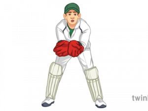 Cricket Wicket PNG File