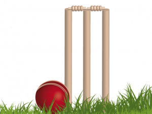 Cricket Wicket PNG Free Download