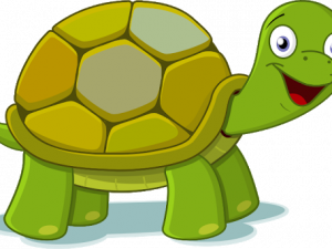 Green Turtle PNG Picture