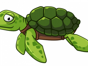 Green Turtle Transparent