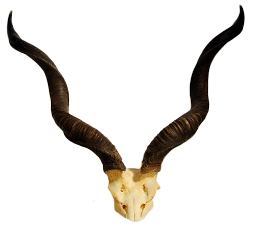 Horn png png