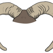 Horn transparente