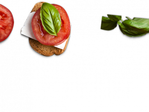 Ingredient PNG Pic