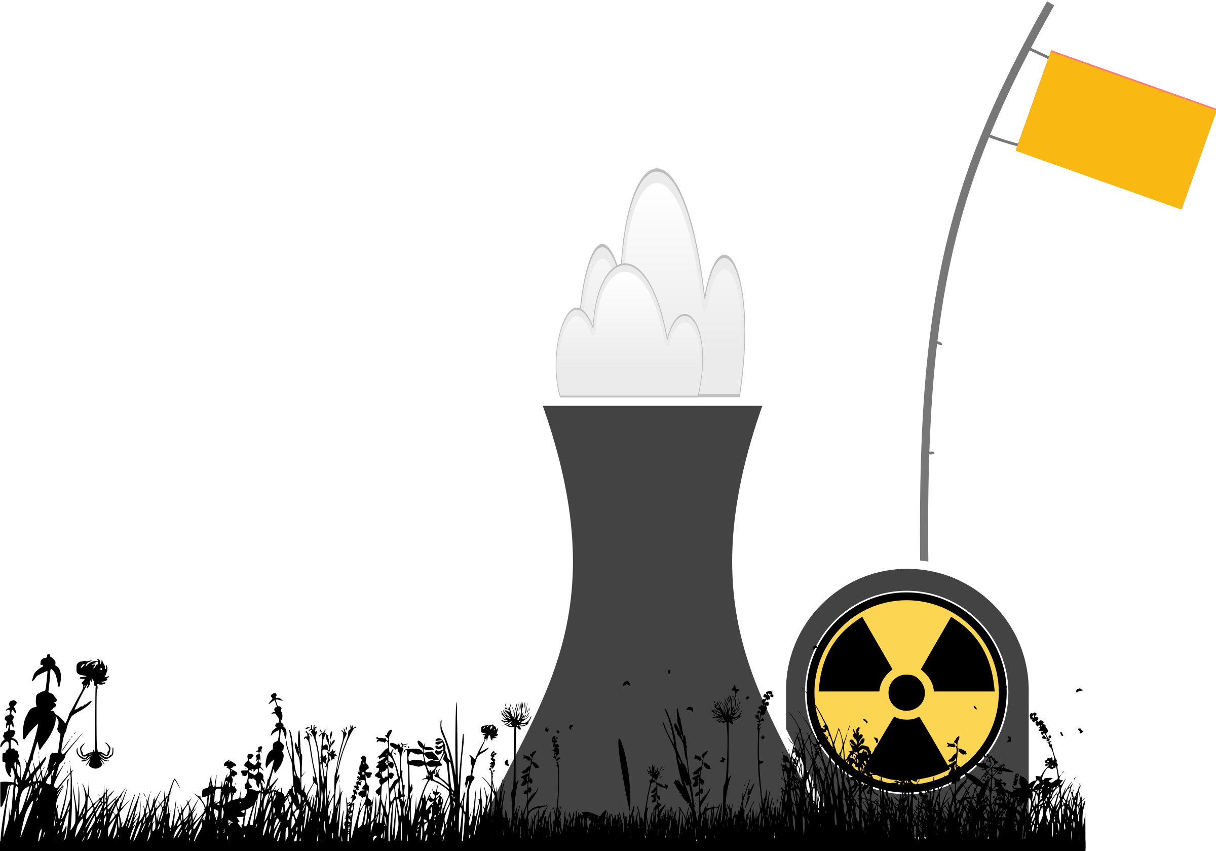 Transparent ng planta ng nukleyar na kuryente