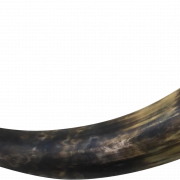 Horn realista png