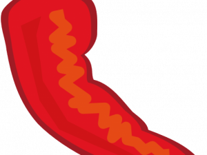 Red Chilli Pepper PNG Picture