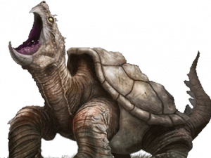 Turtle PNG File