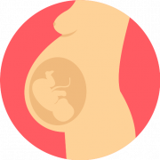 Image de téléchargement PNG de grossesse vectorielle
