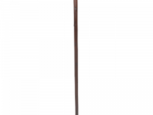 Walking Stick PNG Free Download