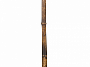 Walking Stick PNG HD Image