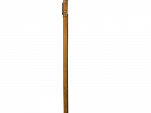 Walking Stick PNG Pic