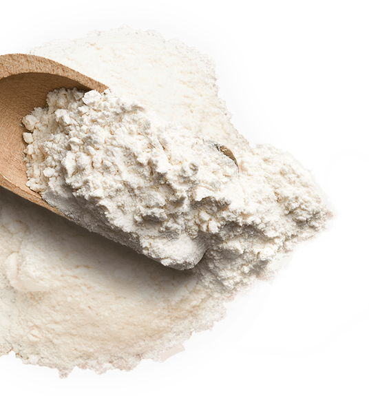Wheat Flour Png