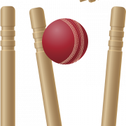 png wicket png