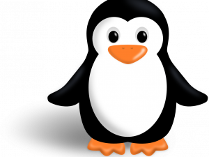 Antarctica Emperor Penguin PNG Image